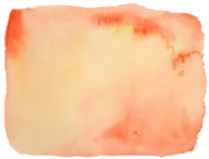 Gilles Barthez formule mariage emotion