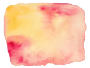 Gilles Barthez formule mariage sur mesure